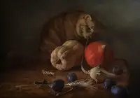 Petina, Anna: Kočka a dýně