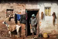 Miyaki, O-i: Indie Kalkata