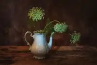 Dingemans, Saskia: Jednoduché pojď bonjour