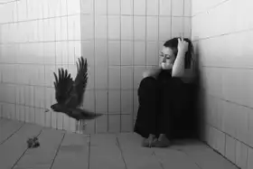 Doni, Derya: vážná situace