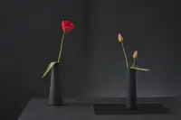 Verot, Christophe: Tulipa Gesneriana č. 3