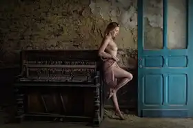 Stalmans, Luc: Staré piano u dveří