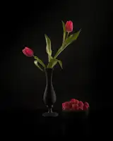 Wei, and Siyu: Tulipány a maliny