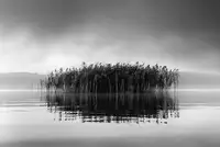 Digalakis, George: Jezero Volvi VII