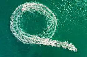 Meirovich, Ido: Následujte vůdce