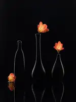 Li, Qing: Clivia
