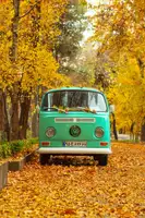 keivan.khatami: Tichý podzim