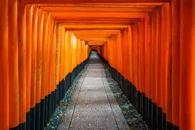 Suryono, Andrew: Červená stezka brány Fushimi Inari