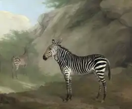 Agasse, Jacques-Laurent: Zebra