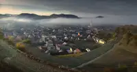 Nowak, Zbyszek: Zamlžený Kaiserstuhl
