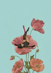 Léon, Maarten: Barevný snílek