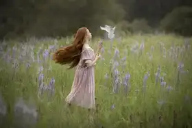 KHRBAWE, AYMAN: Holubice míru v zelené louce