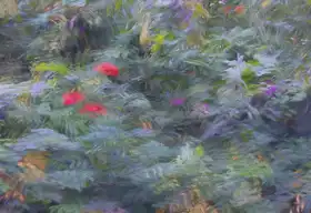 Linden, van Jan: Letní dojem