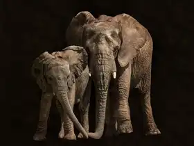 Cuadrado, I. Juan: Kontakt