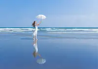 Sakamoto, Tsutomu: Odraz