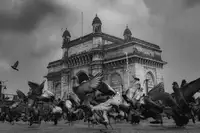 Magdum, Sunil Dr: Majestátní brána Indie