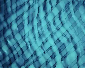 Mann, Tara: Teally Ripple horizontální