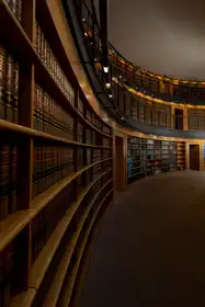 Gelman, Alan: Laika zákona