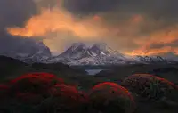 P., Ruiqing: Ohnivé koule Torres del Paine