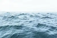 Pienaar, Kathrin: Vlnitý horizont