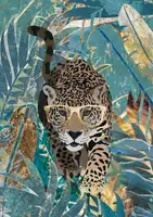 Manovski, Sarah: Zvědavý jaguár v deštném pralese