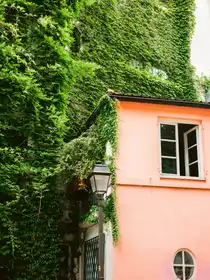 Zwart, Raisa: Zelená a růžová || Montmartre v Paříži