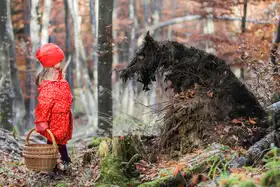 Miro: Červená Karkulka a Vlk
