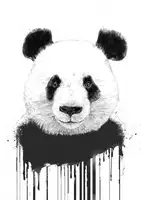 Solti, Balazs: Graffiti panda