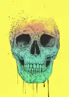 Solti, Balazs: Pop Art Lebka