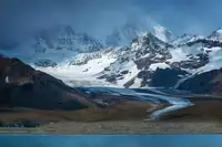 Xu, Mei: Kolonie tučňáků královského na ostrově South Georgia Island