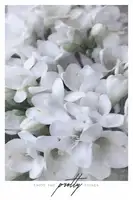 Blursbyai, Laiz Rosana: Zoufalé frézie III