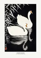Koson, Ohara: Bílé čínské husy plavání od Reeds