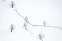 Ionescu, Oana: Neohraničený