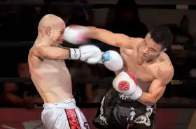 大河, wei: box