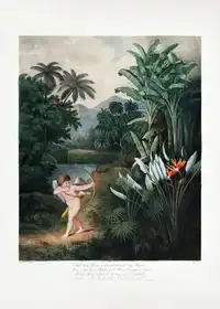 Thornton, John Robert: Amor inspirující rostliny s láskou z Chrámu flóry (1807)