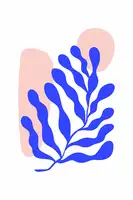 stanley, jay: Henri Matisse Set #4
