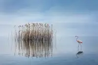Digalakis, George: Jezero Volvi