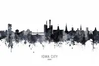 Tompsett, Michael: Iowa City Panorama Iowy