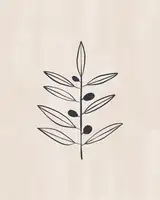Illustrations, Green Ivy: Olivová ratolest