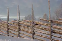 Ludvigson, Anders: Chladné zimní ráno