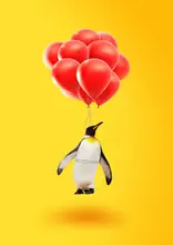 Pozdniakov, Artem: Antarctic Airlines