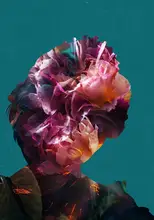 Manovski, Sarah: Princezna Diana Flowersová