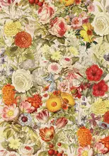 Studio, Floral Frida: Botanika