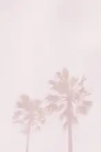 Design, Oju: Růžové dlaně
