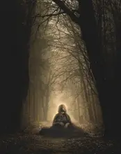 kazumaru_photo: Temný les