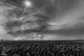 Zuo, Jun: Supercell