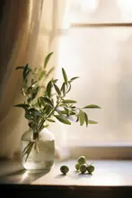 Treechild: Olivy U Okna
