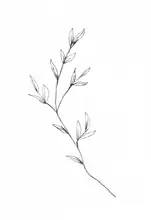 Muller, Lor: Botanická 4