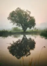 Kado, Pawel: Čekání na podzim