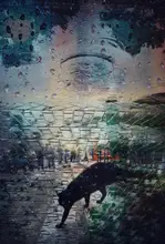 Z, Bingo: Výklad snů